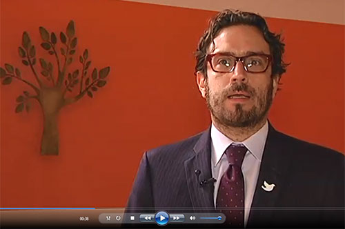 Viceministro de Ambiente y Desarrollo Sostenible, abre la X Conferencia Internacional de Cícadas, en Medellín Viceministro de Ambiente y Desarrollo Sostenible, abre la X Conferencia Internacional de Cícadas, en Medellín