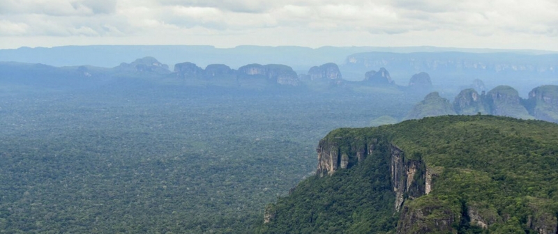 Visión Amazonía: Acciones contundentes para detener la deforestación Visión Amazonía: Acciones contundentes para detener la deforestación