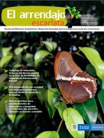 8° edición de la revista el arrendajo escarlata - en la imagen una mariposa posada encima de una hoja