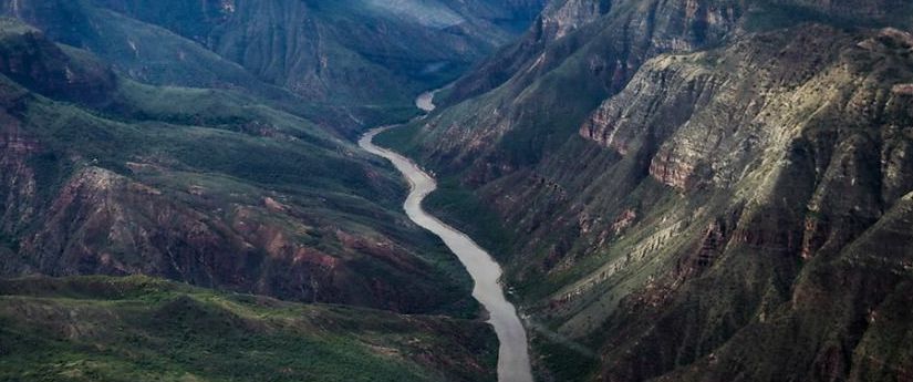 Colombia tiene nueve plataformas colaborativas para restaurar y recuperar ecosistemas Colombia tiene nueve plataformas colaborativas para restaurar y recuperar ecosistemas