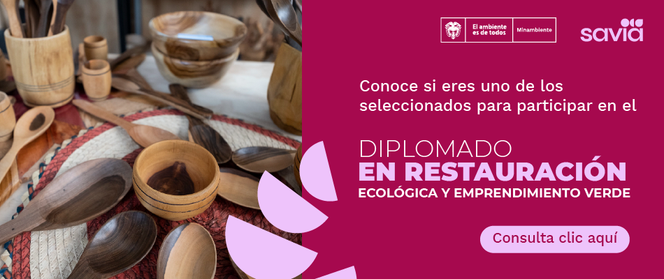 Resultados del diplomado