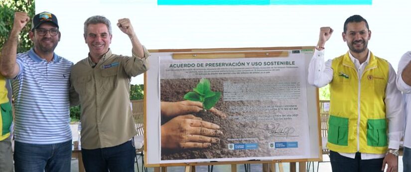Juntas de Acción Comunal sembrarán 3,1 millones de árboles en 18 departamentos Juntas de Acción Comunal sembrarán 3,1 millones de árboles en 18 departamentos