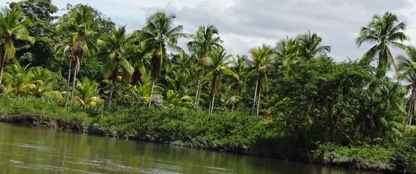 “La isla Ají ahora es área protegida”: Ministro de Ambiente