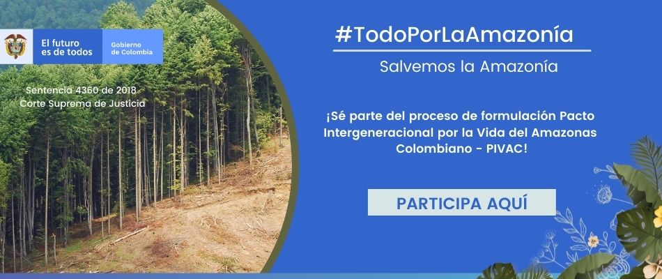 Todo por la Amazonía