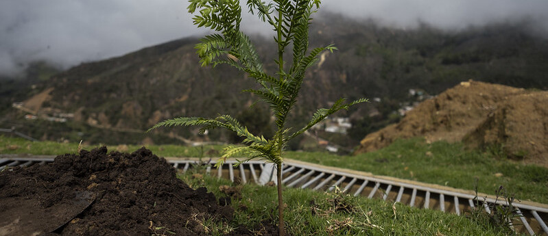 Los pilares de Respira, el programa del Minambiente que protege la biodiversidad Los pilares de Respira, el programa del Minambiente que protege la biodiversidad