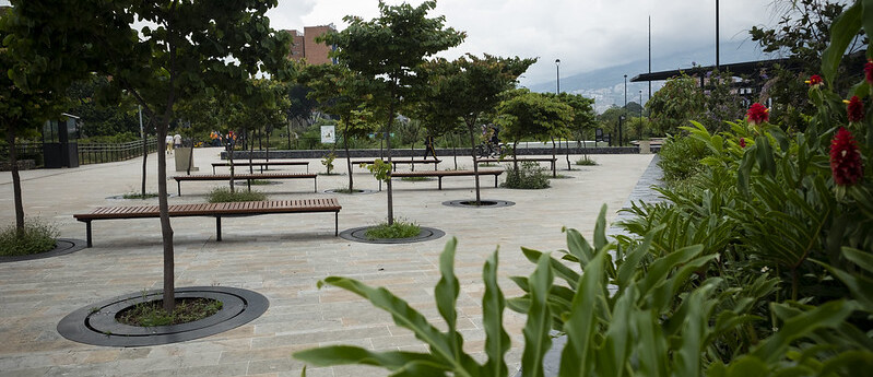 Gobierno y WEF presentan nueva hoja de ruta ambiental para las BiodiverCiudades del mundo Gobierno y WEF presentan nueva hoja de ruta ambiental para las BiodiverCiudades del mundo