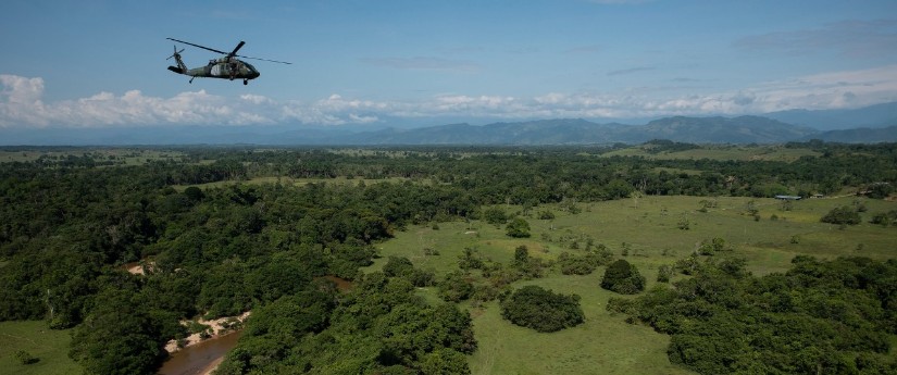 Artemisa: la campaña que ha recuperado 21.480 hectáreas de bosque degradado