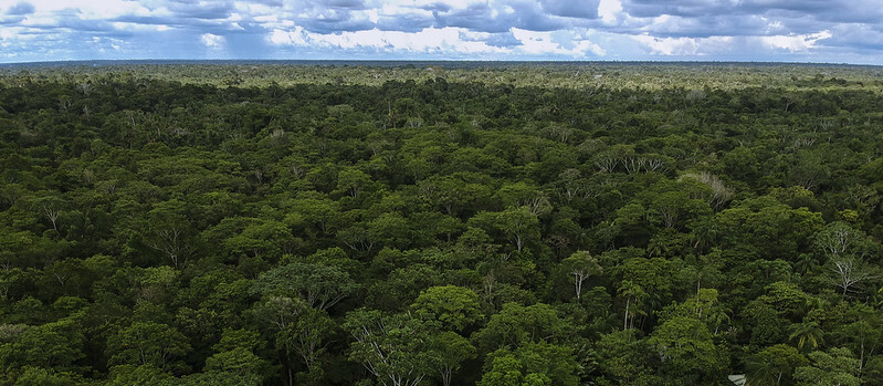 Consejo Nacional Ambiental: abierta convocatoria para seleccionar a delegados gremiales Consejo Nacional Ambiental: abierta convocatoria para seleccionar a delegados gremiales