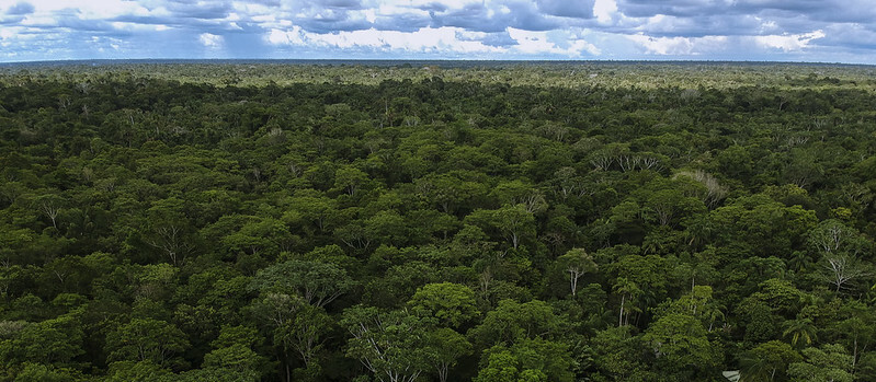 Consejo Nacional Ambiental: abierta convocatoria para seleccionar a delegados gremiales