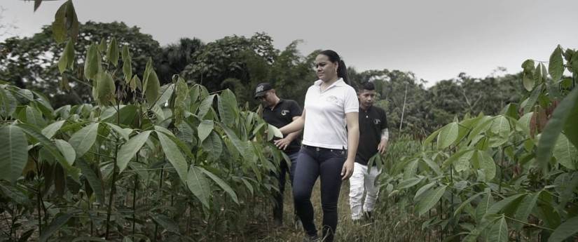 Educación ambiental y producción sostenible, experiencias de éxito en la Amazonía Educación ambiental y producción sostenible, experiencias de éxito en la Amazonía