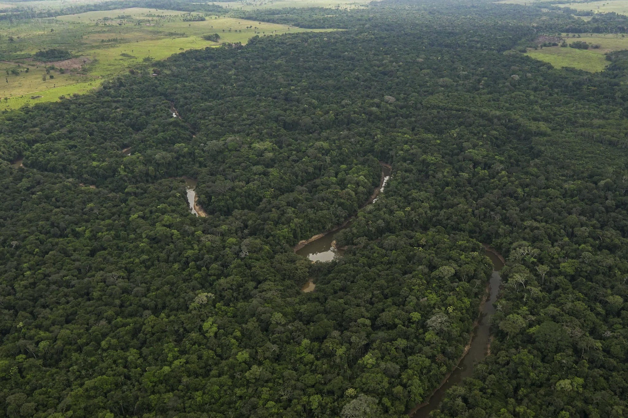 Gobierno se prepara con acciones para prevenir y enfrentar incendios forestales