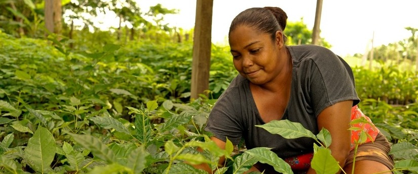 Mujeres y cambio climático, la importancia de una relación que salva vidas Mujeres y cambio climático, la importancia de una relación que salva vidas