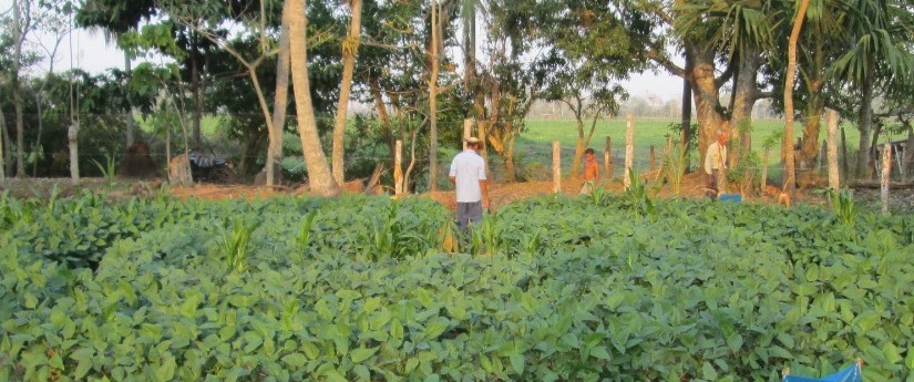 Así benefician a comunidades tres proyectos de adaptación al cambio climático Así benefician a comunidades tres proyectos de adaptación al cambio climático