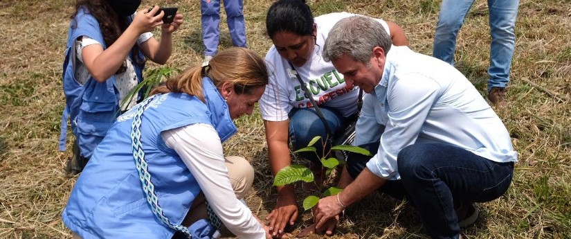 PNUD y Minambiente fortalecen la Red de Viverismo Comunitario de la Amazonía PNUD y Minambiente fortalecen la Red de Viverismo Comunitario de la Amazonía