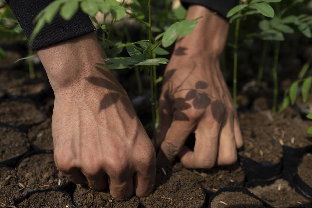 Actualización de Guías ambientales – Convenio Minambiente y FAO – UE – AICS