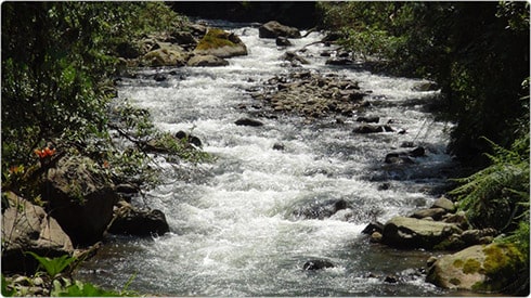 riachuelo