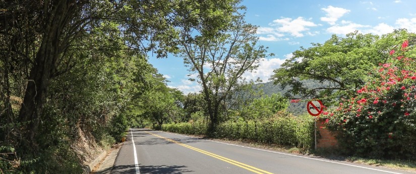 El sector transporte ha sembrado más de un millón setecientos mil árboles en todo el país El sector transporte ha sembrado más de un millón setecientos mil árboles en todo el país