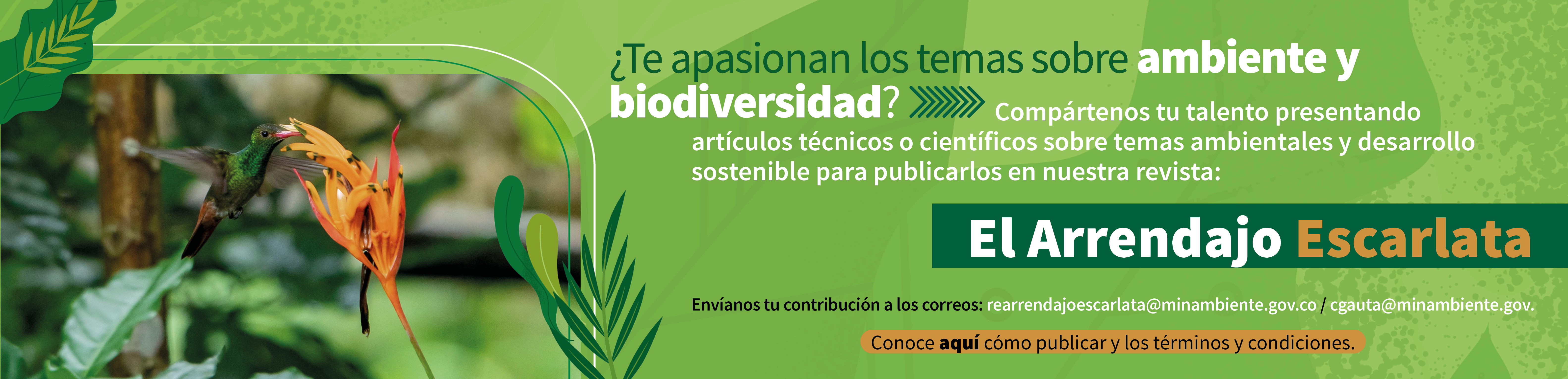 Convocatorio Revista El Arrendajo