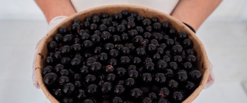 El negocio verde Tropifrutt elabora productos sostenibles con frutos amazónicos El negocio verde Tropifrutt elabora productos sostenibles con frutos amazónicos