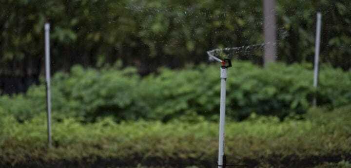 Conozca cómo podría disminuir la demanda de agua en el sector agrícola Conozca cómo podría disminuir la demanda de agua en el sector agrícola