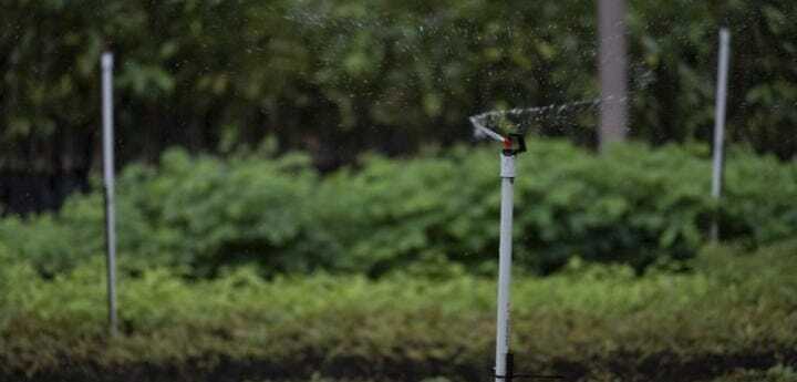 Conozca cómo podría disminuir la demanda de agua en el sector agrícola