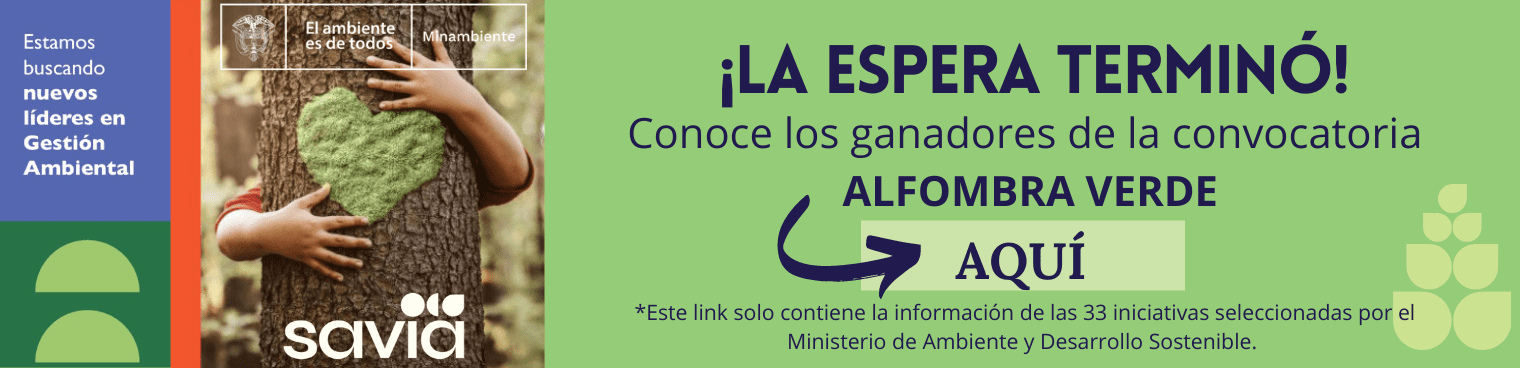 ¡La Espera Terminó!