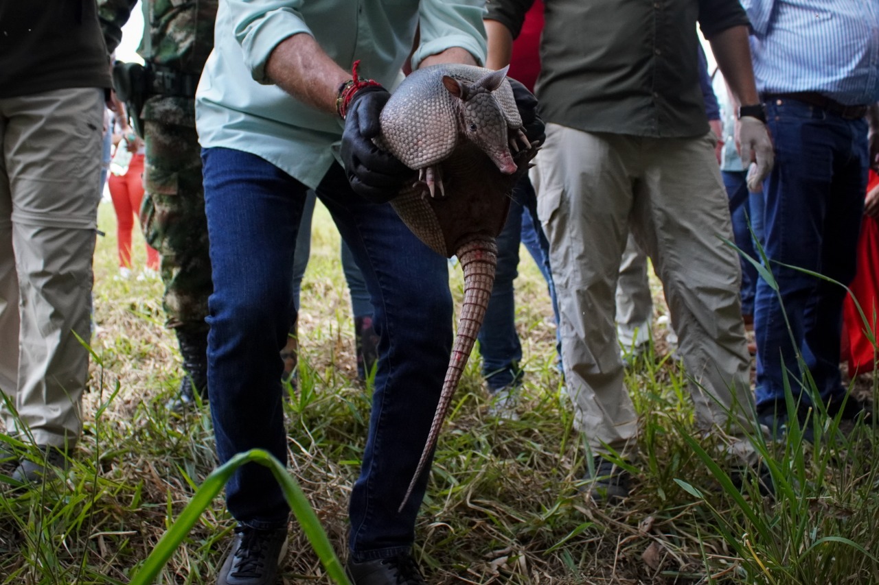 En enero y febrero de 2022, autoridades liberaron 2362 individuos de fauna silvestre