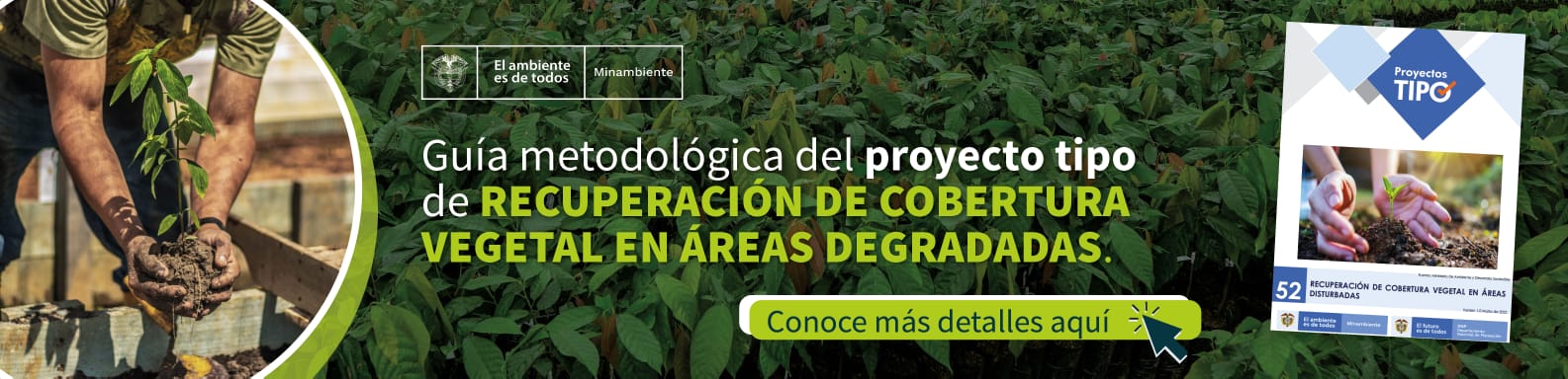 Guía metodológica del proyecto tipo de recuperación de cobertura vegetal