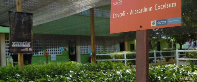 A través de Savia, el Minambiente empieza a entregar 1000 viveros escolares en el país A través de Savia, el Minambiente empieza a entregar 1000 viveros escolares en el país