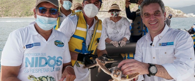 De los 2362 individuos de fauna silvestre liberados, 525 corresponden a tráfico ilegal De los 2362 individuos de fauna silvestre liberados, 525 corresponden a tráfico ilegal