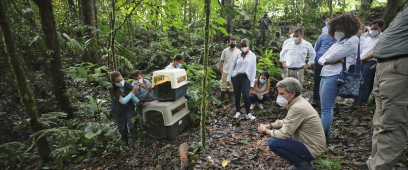 Mañana comenzará el encuentro internacional contra el comercio ilegal de vida silvestre Mañana comenzará el encuentro internacional contra el comercio ilegal de vida silvestre