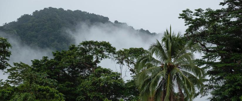 Se ha actuado con transparencia y precaución: Minambiente Se ha actuado con transparencia y precaución: Minambiente