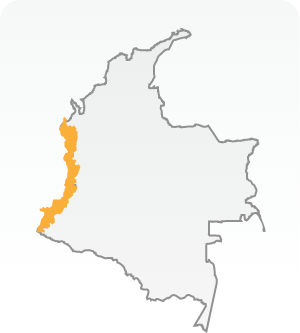 Área protegida terrestre Pacífico Imagen de Área protegida terrestre Pacífico