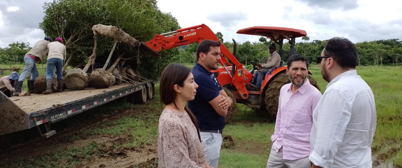 Arborización urbana, una de las apuestas de Barranquilla como biodiverciudad Arborización urbana, una de las apuestas de Barranquilla como biodiverciudad