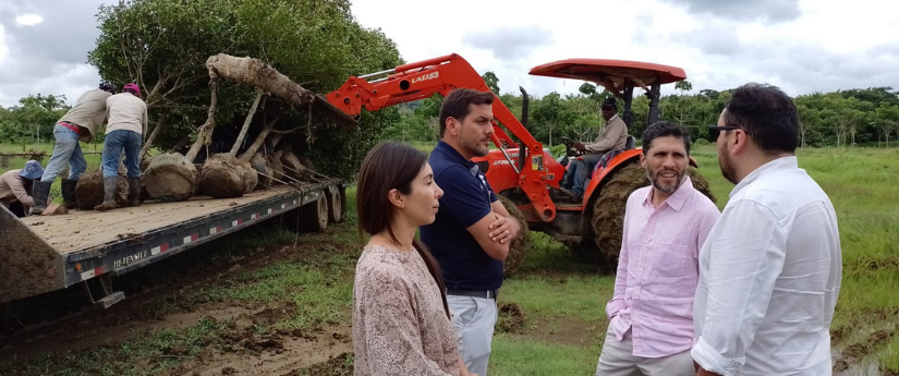 Arborización urbana, una de las apuestas de Barranquilla como biodiverciudad