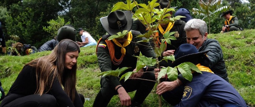 La Gran Sembratón superó la meta al plantar más de 4,1 millones de nuevos árboles nativos La Gran Sembratón superó la meta al plantar más de 4,1 millones de nuevos árboles nativos