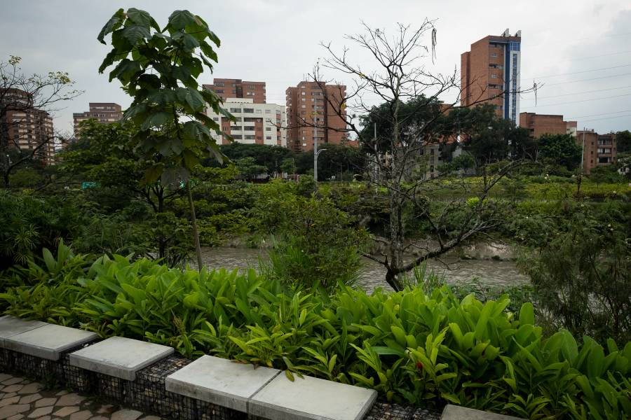 Imagen de fotografía parques del río