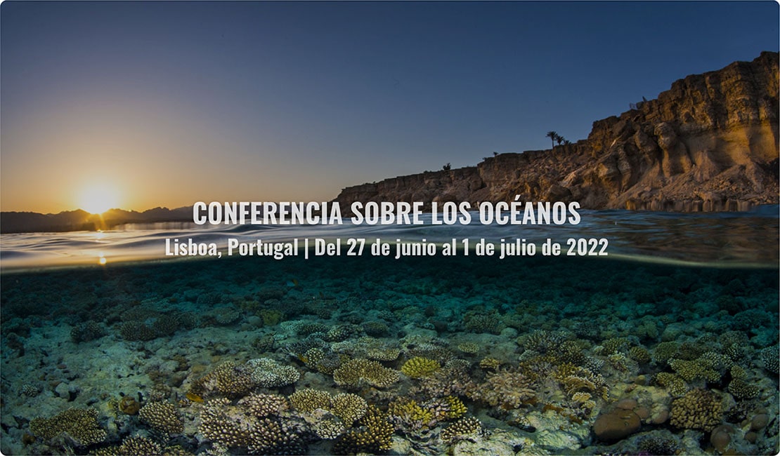 banner con fondo de una costa marina. Al frente el siguiente titulo "conferencia sobre los océanos"