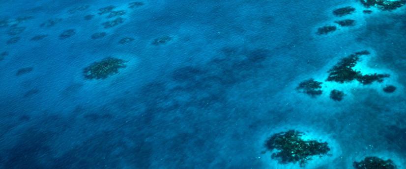 En el Día Mundial de los Océanos, avanza la cumbre que busca proteger los mares del país En el Día Mundial de los Océanos, avanza la cumbre que busca proteger los mares del país