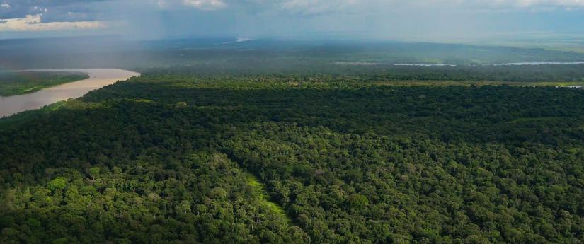 Minambiente y UNODC, aliados estratégicos en contra de la deforestación Minambiente y UNODC, aliados estratégicos en contra de la deforestación