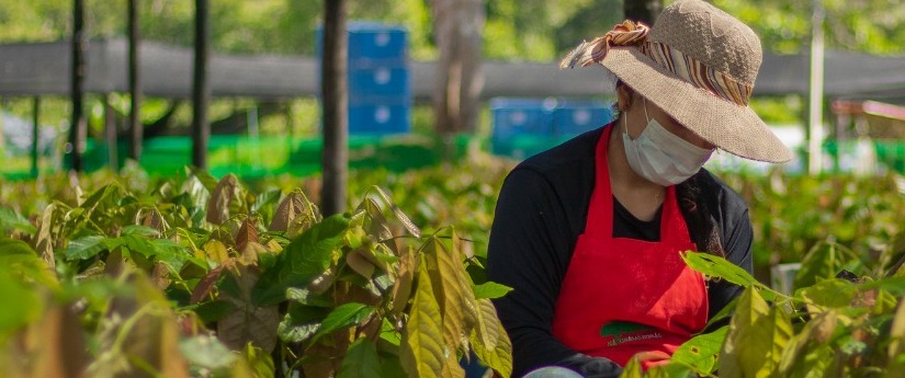 Gobierno asegura recursos para acciones que aportan a la lucha contra el cambio climático Gobierno asegura recursos para acciones que aportan a la lucha contra el cambio climático