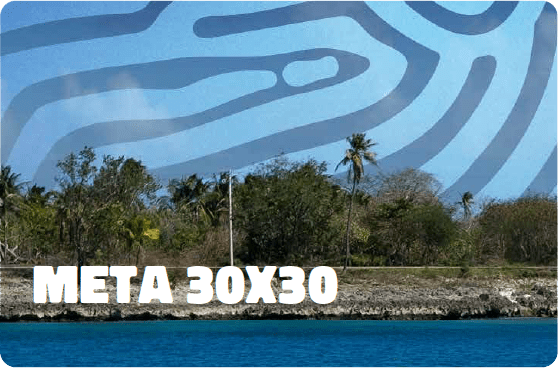 banner con fondo de playa y un titulo al frente "meta 30x30"