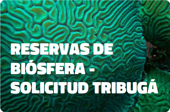 banner con fondo de corales. En frente un titulo "reservas de biósfera - solicitud tribugá"