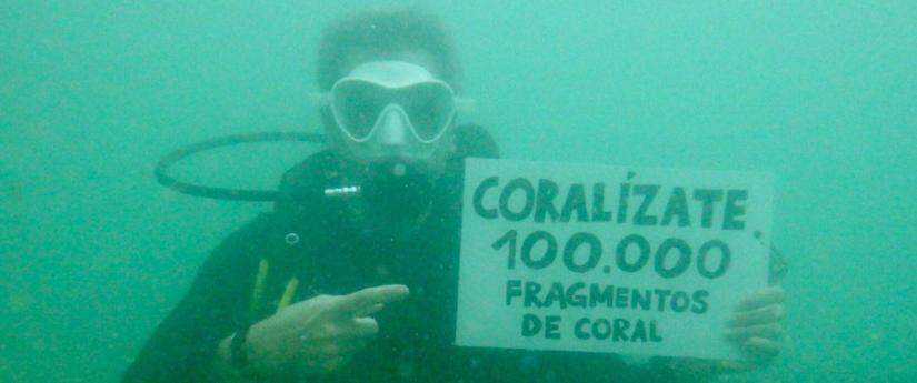 Coralízate superó la meta: Colombia ya cuenta con 113.136 nuevos fragmentos de coral Coralízate superó la meta: Colombia ya cuenta con 113.136 nuevos fragmentos de coral