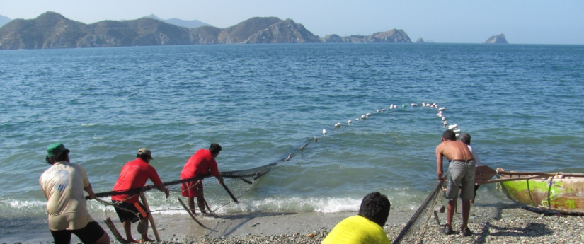 Día de la Gente de Mar: el proyecto que benefició a 1200 pescadores de 18 comunidades
