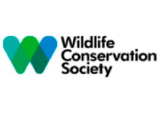 logo wildlife conservation society