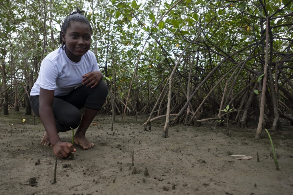 mujer cultivando mangle