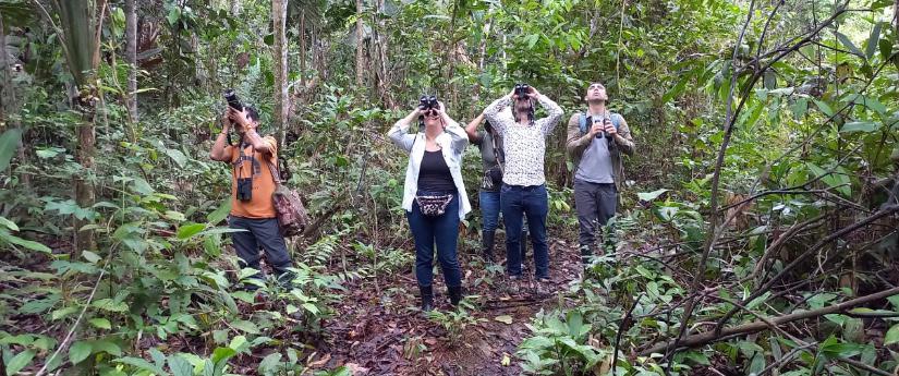 Leticia avanza para consolidarse como una biodiverciudad Leticia avanza para consolidarse como una biodiverciudad