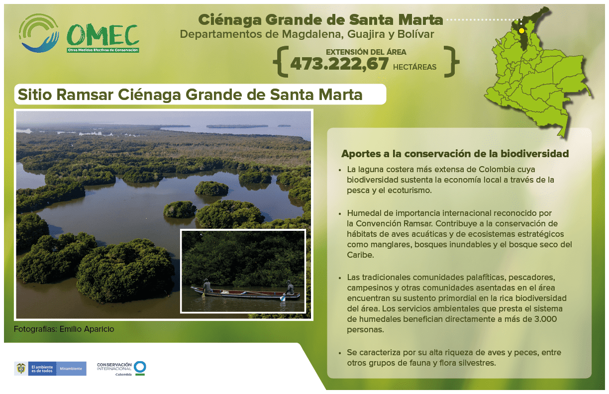 infografía acerca de la ciénaga grande de santa marta