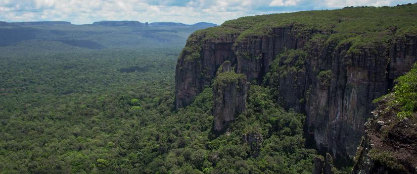 El Minambiente creó un sitio web con información sobre mercados de carbono en Colombia